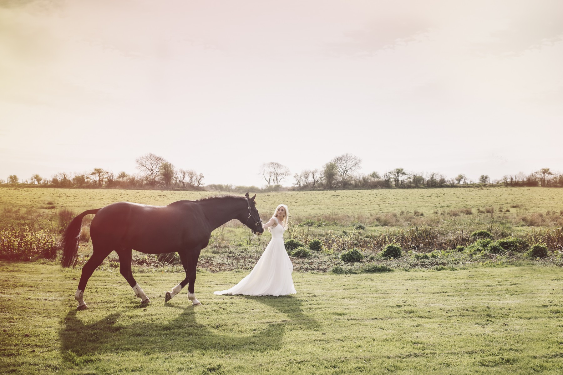 Wedding Bands Oldwalls Gower