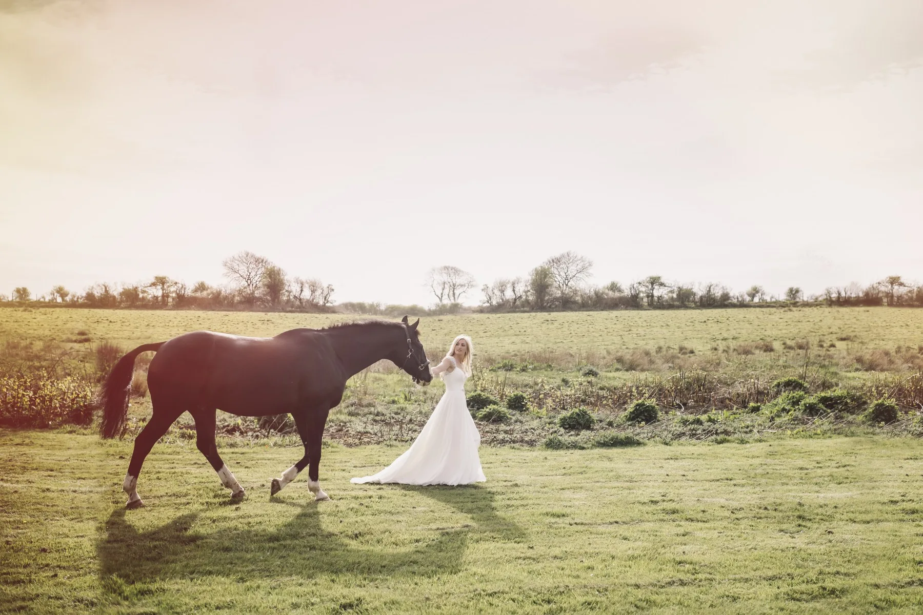 Wedding Bands Oldwalls Gower